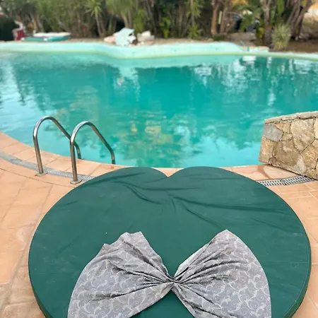 Nuriah Boutique House بيت ضيافة