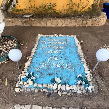 게스트하우스 Nuriah Boutique House 볼리케임