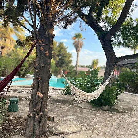 Nuriah Boutique House 게스트하우스